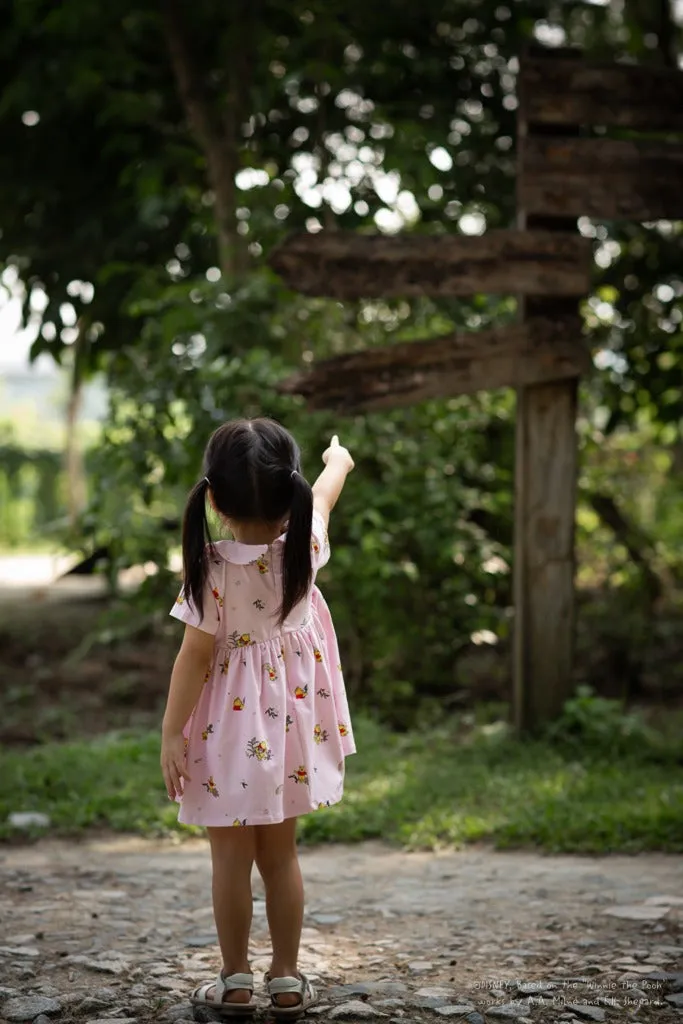 Clara Dress - Rainbow Pooh