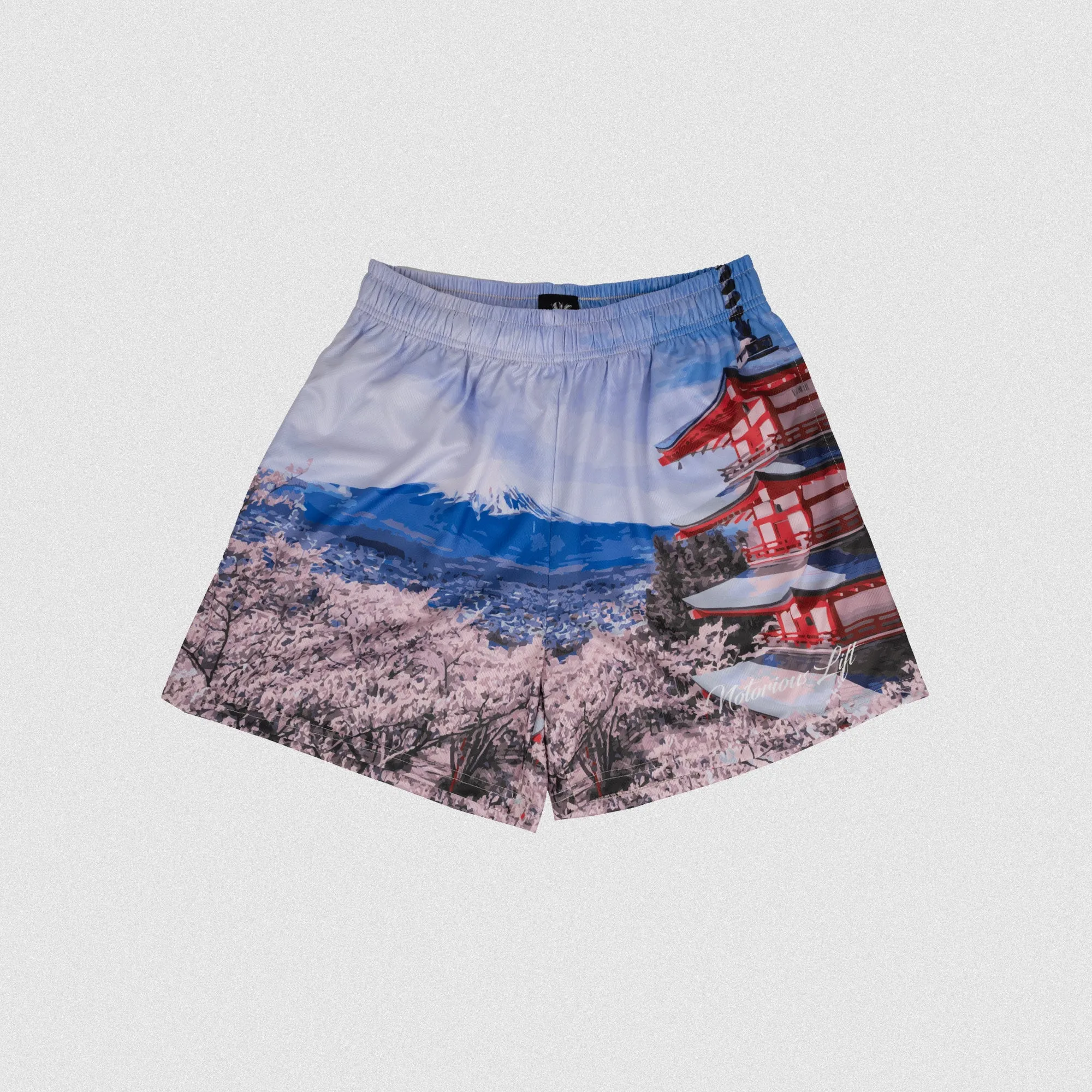 Pagoda Mesh Shorts